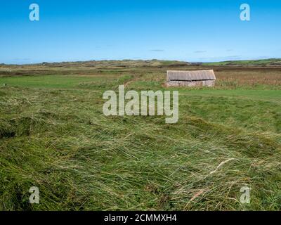 Un ancien hangar ou une ancienne grange dans un fierld à Rhossil Baie sur la Gower Peninsula Wales Royaume-Uni Banque D'Images