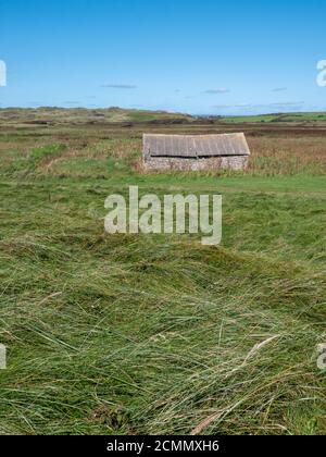 Un ancien hangar ou une ancienne grange dans un fierld à Rhossil Baie sur la Gower Peninsula Wales Royaume-Uni Banque D'Images