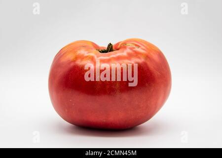 Une grande tomate rouge mûre isolée sur fond blanc. Concept d'alimentation saine. Banque D'Images