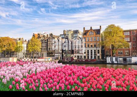 Pays-bas Amsterdam, ville Dutch House à canal mer avec printemps tulipe fleur Banque D'Images