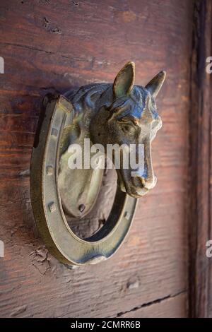 gros plan d'un ancien knocker en forme de cheval sur un traditionnel porte en bois Banque D'Images