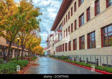 Campus de l'université de Stanford le jour des pluies automnales, Palo Alto, Californie, États-Unis. Banque D'Images