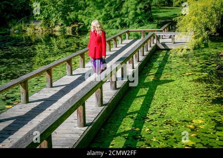 Cypress Pond BoardWalk, VanDusen Botanical Garden, Vancouver (Colombie-Britannique), Canada. Banque D'Images