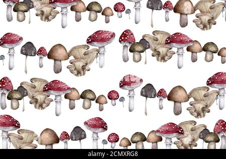 Fond de champignon de forêt dessiné à la main d'amanita avec escargots et chenilles sur fond blanc Banque D'Images