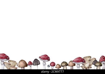 Fond de champignon de forêt dessiné à la main d'amanita avec escargots et chenilles sur fond blanc Banque D'Images