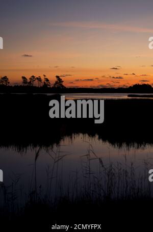 Coucher de soleil sur l'île d'Assateague au-dessus des marais, baie d'eau salée avec silhouette Banque D'Images