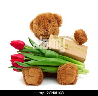 l'ours en peluche brun est assis sur un fond blanc isolé et contient une boîte emballée dans du papier kraft brun Banque D'Images
