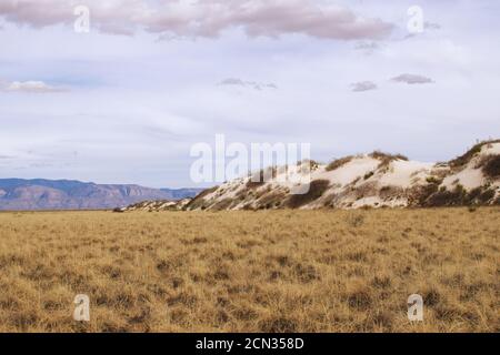 Les prairies rencontrent les dunes de gypse du parc national de White Sands Banque D'Images