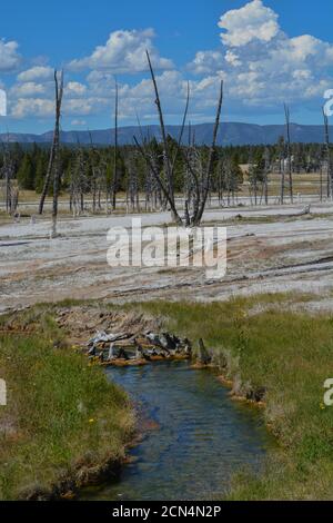 Eau bouillante coulant dans un désert thermal à Upper Geyser Basin dans le parc national de Yellowstone, Wyoming Banque D'Images