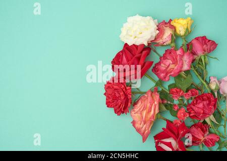 bouquet de roses multicolores sur fond vert, toile de fond festive Banque D'Images