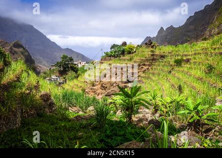 Paysage de la vallée de Paul à l'île de Santo Antao, au Cap-Vert Banque D'Images