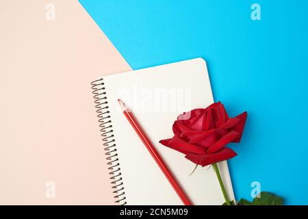 carnet ouvert avec feuilles blanches et rose rouge sur un arrière-plan bleu beige Banque D'Images