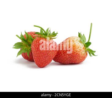 fraises rouges mûres entières isolées sur fond blanc Banque D'Images
