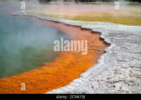 Bassin géothermique de Champagne Pool dans la région de Waiotapu de New Zélande Banque D'Images