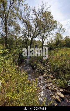 Le fleuve Elbsche coule dans la Ruhr à Wengern, Wetter, Rhénanie-du-Nord-Westphalie, Allemagne, Europe Banque D'Images