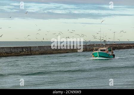 Saint-Gilles-Croix-de-vie, à Vendée, un bateau de pêche typique retournant au port le matin Banque D'Images