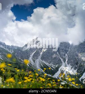 Randonnée dans les Alpes dans la vallée de Stubai pendant les vacances d'été dans une belle nature, Tyrol, Autriche Banque D'Images