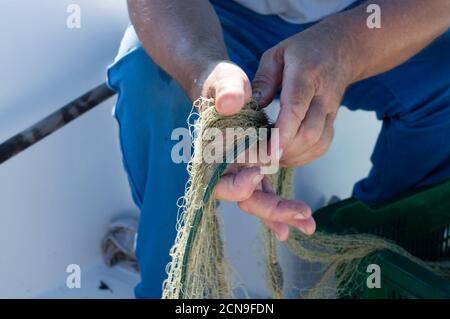 Pêcheur détenant un vieux filet de pêche, petite pêche traditionnelle croate de Dalmatie, Croatie Banque D'Images