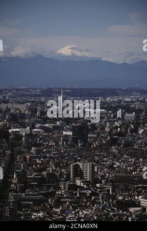 Mont Fuji sur le paysage urbain ensoleillé de Tokyo, Japon Banque D'Images