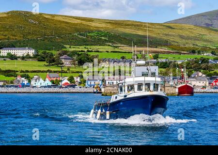 Excursion en bateau au départ du port de Dingle pour l'observation des dauphins de Fungie Banque D'Images