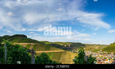 Vue aérienne de la vallée de l'Ahr pendant un été ensoleillé journée sur le sentier de randonnée des vins rouges Banque D'Images