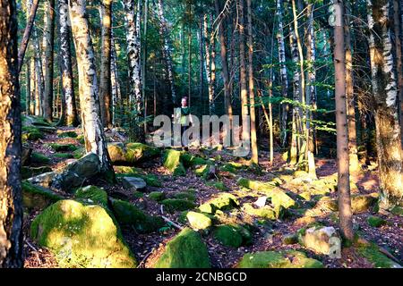 Une femme monte dans des vêtements et un sac à dos de sport. Gros plan dans les chaussures de randonnée sport sur l'herbe verte et les pierres rocheuses avec la mousse de forêt d'automne de montagne Banque D'Images