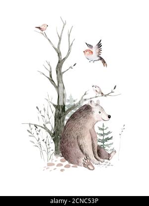 Boisée aquarelle animaux mignon bébé ours. Motif balourd’ours scandinave. Charecter isolé Banque D'Images