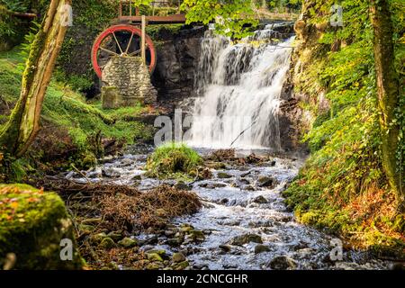 Roue d'eau rouge vintage avec chute d'eau dans le parc forestier de Glenariff Banque D'Images