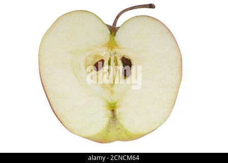 La moitié d'une pomme avec des graines sur fond blanc Banque D'Images