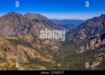 Vue aérienne des gorges de l'Asco en haute Corse sur l'île corse, France Banque D'Images