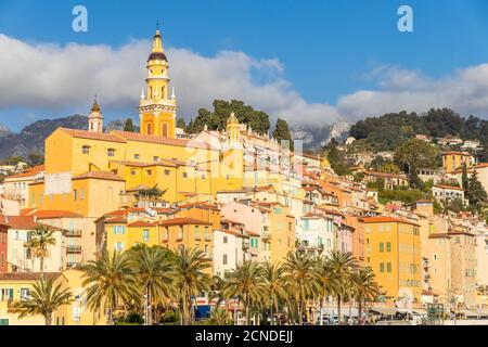 La vieille ville avec la basilique Saint-Michel-Archange, Menton, Alpes Maritimes, Côte d'Azur, Côte d'Azur, Provence, France, Méditerranée, Europe Banque D'Images