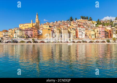 La vieille ville avec la basilique Saint-Michel-Archange, Menton, Alpes Maritimes, Côte d'Azur, Côte d'Azur, Provence, France, Méditerranée, Europe Banque D'Images