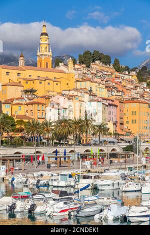 Vue du Vieux-Port à la vieille ville et la basilique Saint-Michel-Archange, Menton, Alpes Maritimes, Côte d'Azur, Côte d'Azur, Provence Banque D'Images