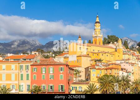 La vieille ville avec la basilique Saint-Michel-Archange, Menton, Alpes Maritimes, Côte d'Azur, Côte d'Azur, Provence, France, Méditerranée, Europe Banque D'Images