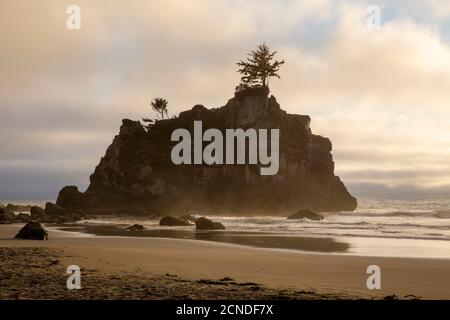Coucher de soleil à marée basse sur Hidden Beach, Klamath, Californie, États-Unis d'Amérique Banque D'Images
