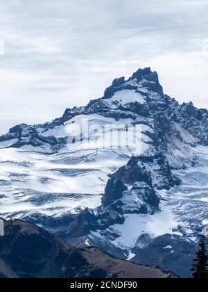 Feu de bonne heure sur le mont Rainier depuis le sentier de Burroughs Mountain Trail, le parc national du mont Rainier, État de Washington, États-Unis d'Amérique Banque D'Images