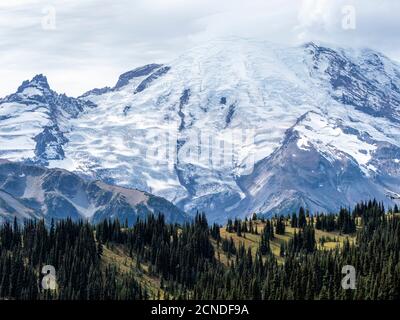 Feu de bonne heure sur le mont Rainier depuis le sentier de Burroughs Mountain Trail, le parc national du mont Rainier, État de Washington, États-Unis d'Amérique Banque D'Images