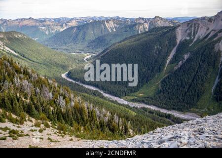 Rivière Meltwater sur le mont Rainier depuis le sentier de Burroughs Mountain Trail, parc national du mont Rainier, État de Washington, États-Unis d'Amérique Banque D'Images