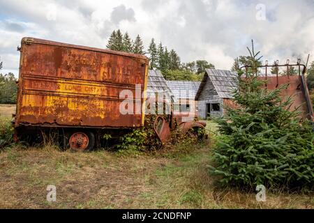 Vieux camion Chevrolet au Kestner Homestead, forêt tropicale de Quinault, parc national olympique, État de Washington, États-Unis d'Amérique Banque D'Images