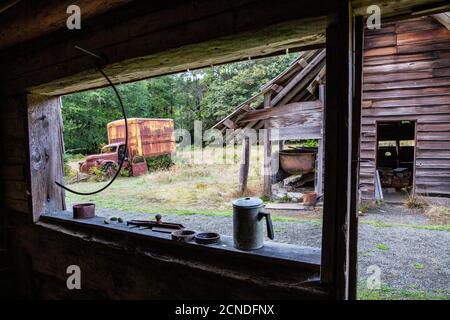 Vieux camion Chevrolet au Kestner Homestead, forêt tropicale de Quinault, parc national olympique, État de Washington, États-Unis d'Amérique Banque D'Images