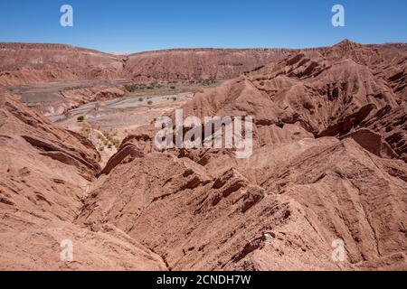 Le soleil brûlait les collines à Quebrada de Chulacao, la vallée de Catarpe dans le désert d'Atacama, au Chili Banque D'Images