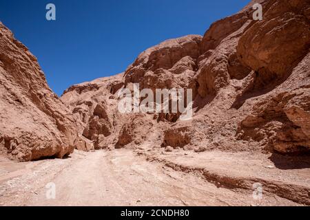 Le soleil brûlait les collines à Quebrada de Chulacao, la vallée de Catarpe dans le désert d'Atacama, au Chili Banque D'Images