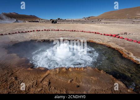 Geysers del Tatio (El Tatio), le troisième plus grand champ de geyser au monde, la zone volcanique centrale andine, région d'Antofagasta, Chili Banque D'Images