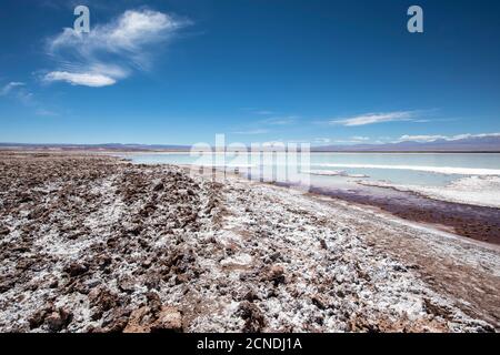 Laguna Tebenquicne, un lagon d'eau salée dans le Salar de Atacama, réserve nationale de Los Flamencos, Chili Banque D'Images