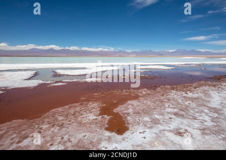 Laguna Tebenquicne, un lagon d'eau salée dans le Salar de Atacama, réserve nationale de Los Flamencos, Chili Banque D'Images