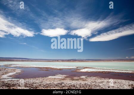 Laguna Tebenquicne, un lagon d'eau salée dans le Salar de Atacama, réserve nationale de Los Flamencos, Chili Banque D'Images