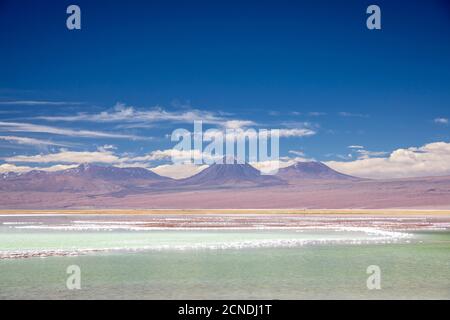 Laguna Tebenquicne, un lagon d'eau salée dans le Salar de Atacama, réserve nationale de Los Flamencos, Chili Banque D'Images