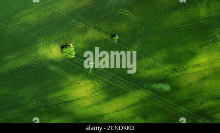 vue aérienne sur le champ d'herbe. naturel incroyable romantique vert printemps arrière-plan été. route et arbre en forme de coeur. tir de drone. Terres agricoles de Banque D'Images