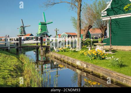 Village traditionnel, Zaanse Schans, Zaandam, Hollande-Nord, pays-Bas, Europe Banque D'Images