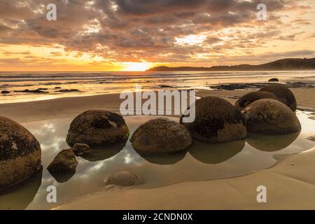 Moeraki Boulders au lever du soleil, de l'Otago, île du Sud, Nouvelle-Zélande, Pacifique Banque D'Images